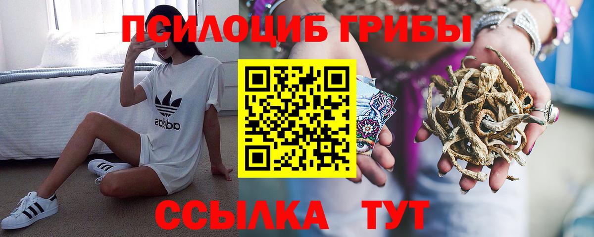 Галлюциногенные грибы мухоморы  Псилоцибиновые грибы ЛСД  Вход с VPN  Свободный 